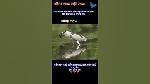 Tiếng vạc gọi bầy