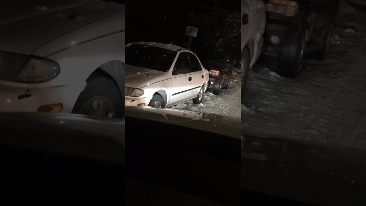A wolf in Portland Oregon 1/14/2017 at 3.30 am bekijken op YouTube A wolf in Portland Oregon 1/14/2017 at 3.30 am bekijken op YouTube
