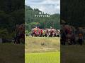#チャグチャグ馬コ #vlog #鬼越蒼前神社 #旅行 #岩手県