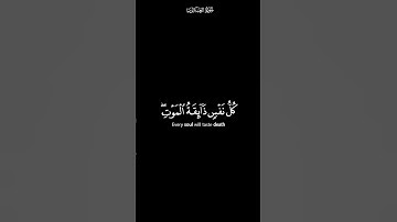 يعبادي الذين إمنوا | كرومات شاشة سوداء القران الكريم | القارئ عبدالرحمن مسعد
