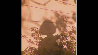 𝑻𝒓𝒚𝒑𝒐𝒑𝒉𝒐𝒃𝒊𝒂 𝒔𝒍𝒐𝒘𝒆𝒅 𝒂𝒏𝒅 𝒓𝒆𝒗𝒆𝒓𝒃𝒆𝒅