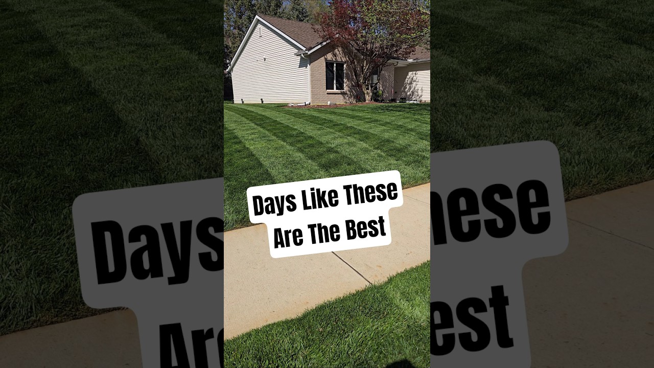 That Fresh-Cut Feeling #lawncare #lawn #satisfying