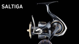 Daiwa Saltiga 2023, PERFECT