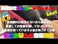 【白髪抜き動画】右後頭部の白髪をガンガン抜きます！モニタリング白髪抜きは無料にてご利用になられます、お問い合わせお待ちしております。