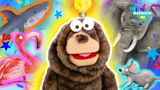 ANIMAL MOVEMENT GAME! | Imagination + Stretching for Kids 🦥🦩✨ screenshot 5