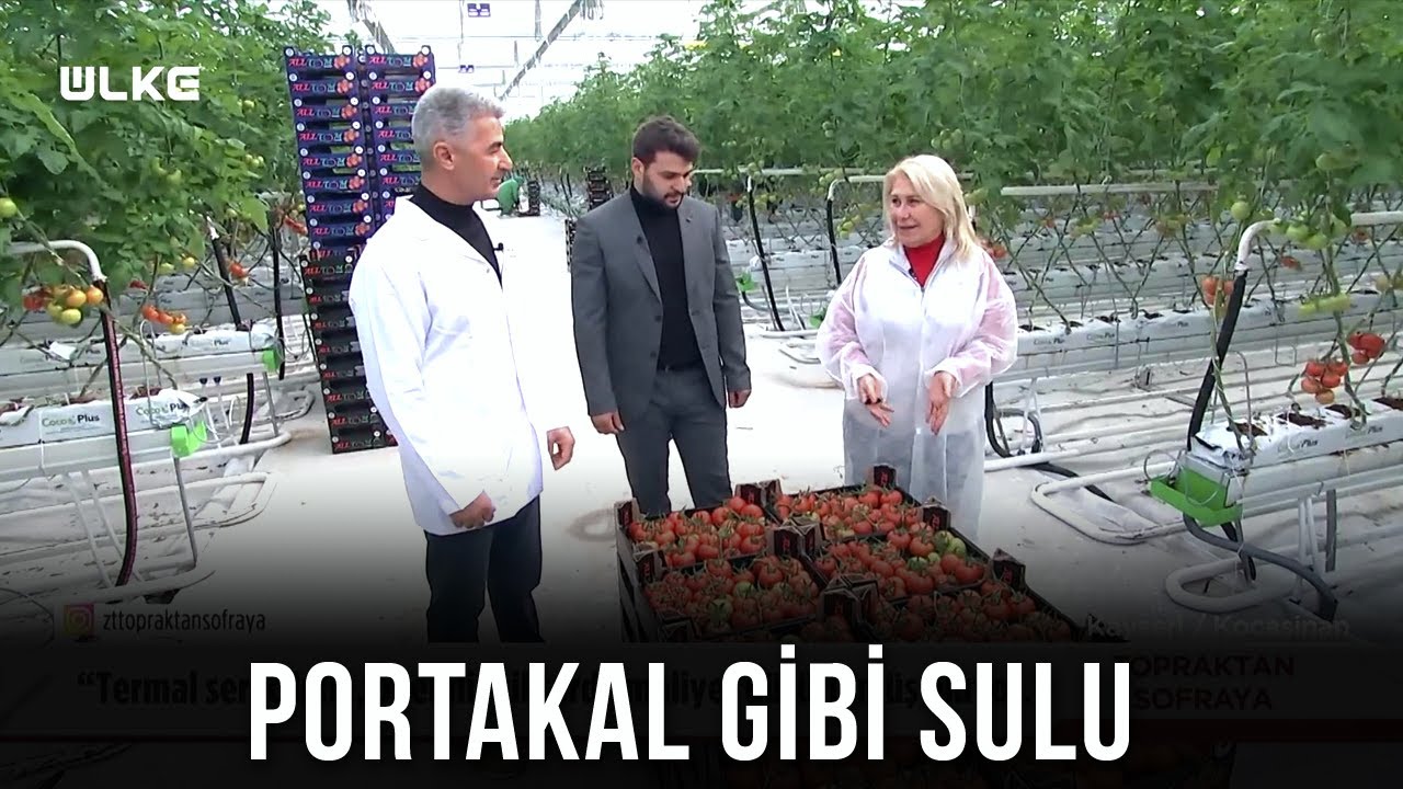 Sıcak Suda Domates Mi Yetişir Demeyin! 🍅 - Topraktan Sofraya