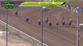 Vidéo de la course PMU HANDICAP 1000