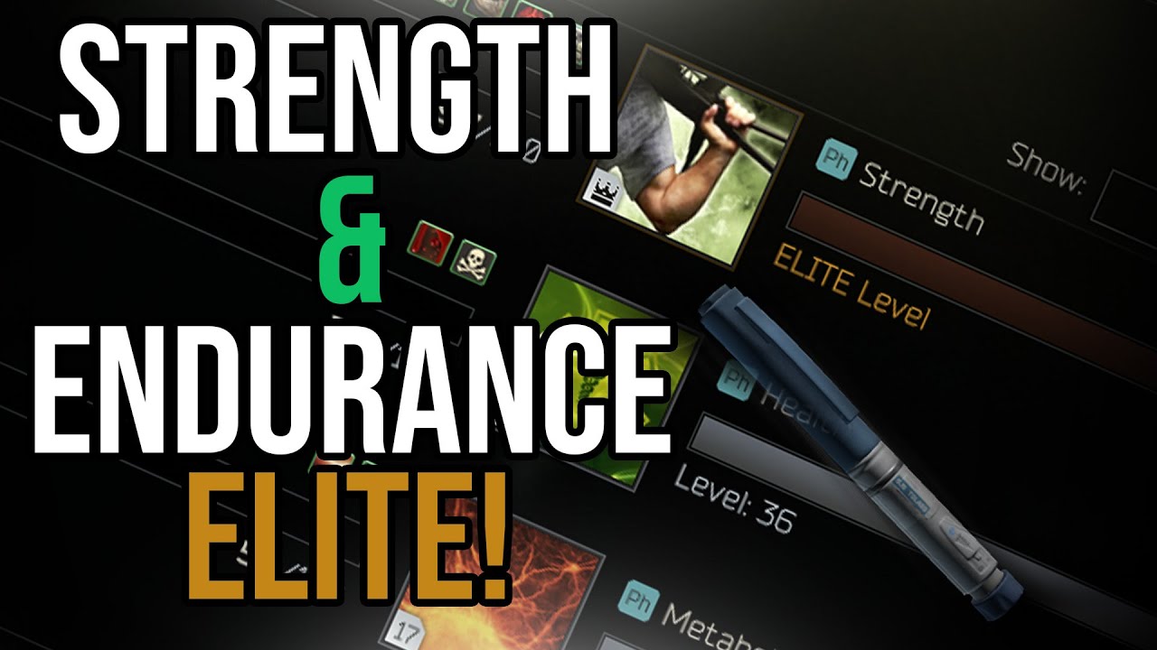 STRENGTH & ENDURANCE LEVELING - Escape From Tarkov (Patched) - YouTube