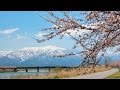 春はもうすぐ / 小金沢昇司 Cover:山口えい子