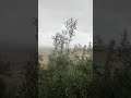امطار الخير بأول يوم لعيد الفطر