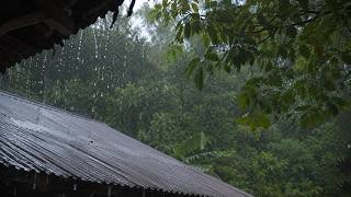 Fall asleep quickly in 3 minutes with the sound of heavy rain on a tin roof and powerful thunder