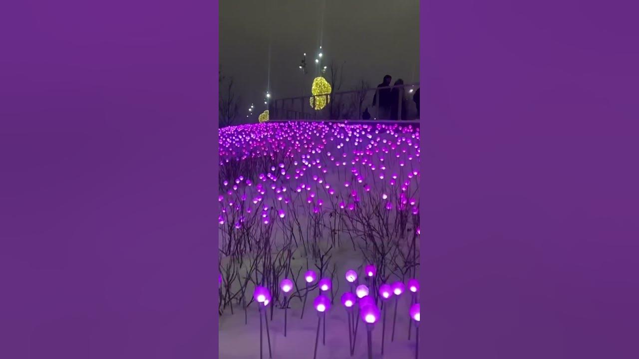 Москва новый парк Зарядье 2022