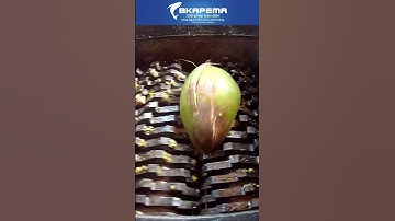 Máy nghiền rác hữu cơ