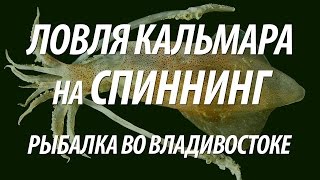 КАЛЬМАР НА СПИННИНГ. МОРСКАЯ РЫБАЛКА ВО ВЛАДИВОСТОКЕ