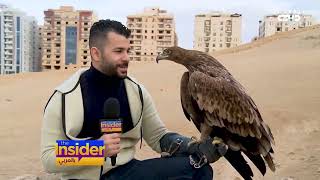عودة رامز أمير للسينما مع بطلة مختلفة - بالعربي The Insider