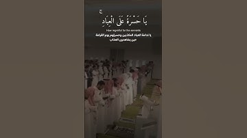 ﴿ يَا حَسْرَةً عَلَى الْعِبَادِ ۚ…ماتيسر من سورة يس | ناصر القطامي