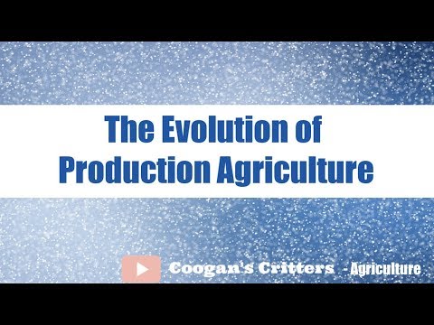 Evolution of Production