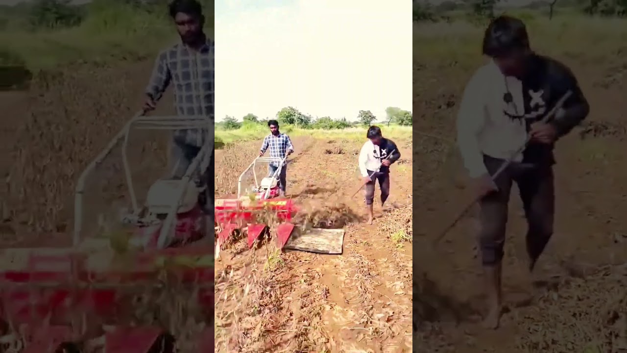 Handheld grass cutter in action