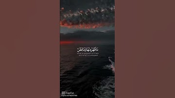 عبدالباسط عبدالصمد #قرآن #اكسبلور #المصحف #تلاوة_خاشعة #دويتو #عبدالباسط_عبدالصمد
