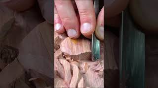 Celtic Tree of Life Carved in Cedar #woodcarving #wildlife #artwork