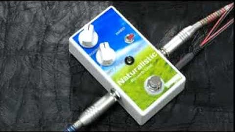 Naturalistic Reverb Unit by Seemann Custom