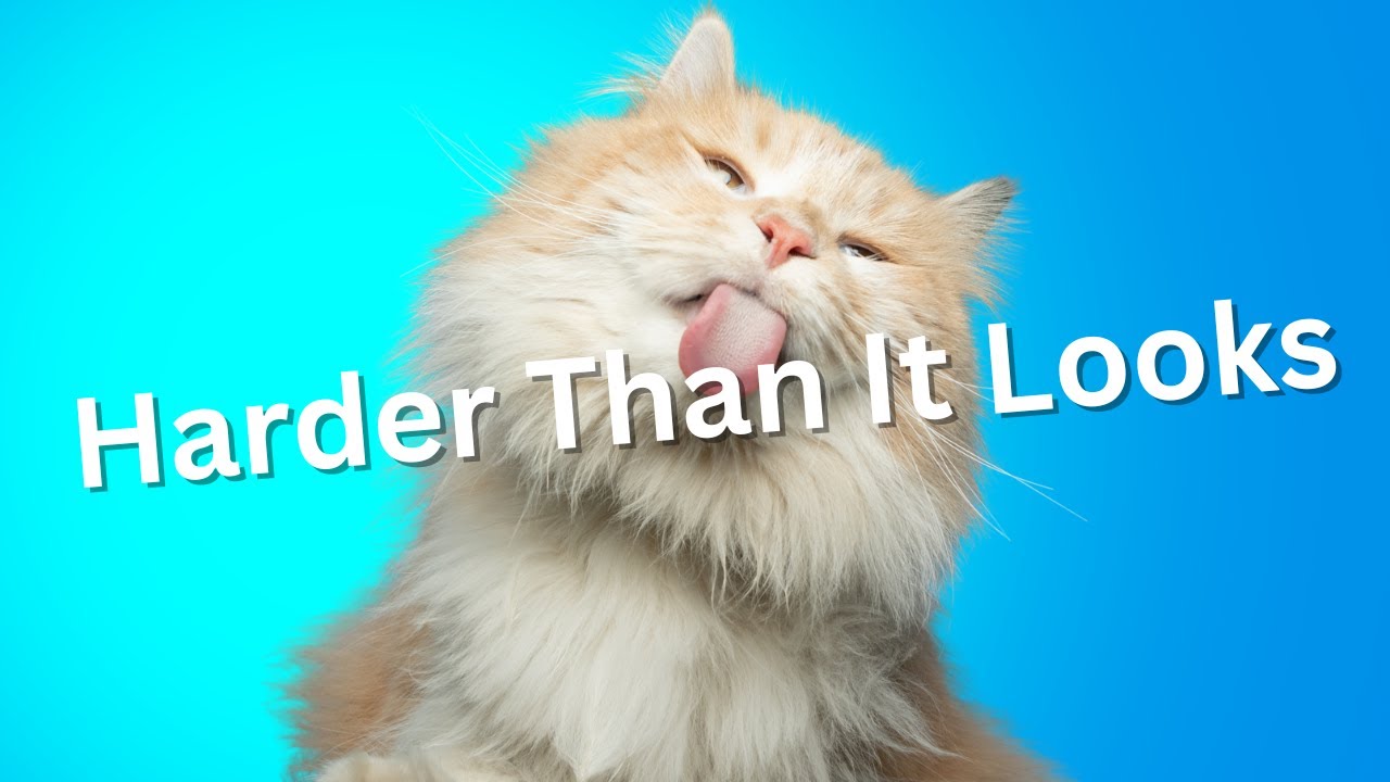 Pet Sitting Side Hustle: Challenges I Didn’t Expect