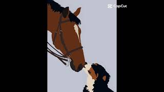 idée fond d'écran équitation😁😃