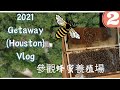 Getaway Vlog 2 參觀蜂蜜養殖場