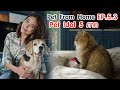 Pet From Home EP.5.3 Pet Idol 5 ภาค l OA 24 พ.ค. 2563