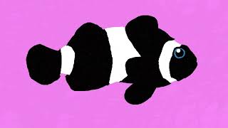 Chad Cannon: Music for the Ocean - Black Ocellaris Clownfish Dance (Live at USC) screenshot 4