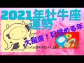 【2021年 牡牛座運勢】2021年牡牛座さんへ年間リーディング🌟大躍進の年⁉目覚めの年かも!🌟【当たる⁈タロット占い】