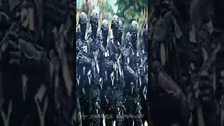 Download Lagu story wa Jedag jedug versi DENJAKA(DETASEMEN JALAMANGKARA)TNI AL #denjaka #tnial #tni #tniindonesia MP3