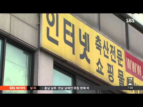 파리 날아다니는데 '고기' 가공…인터넷 판매 / SBS