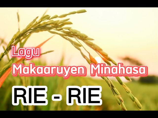 Rie - Rie I Lagu Makaaruyen Minahasa class=