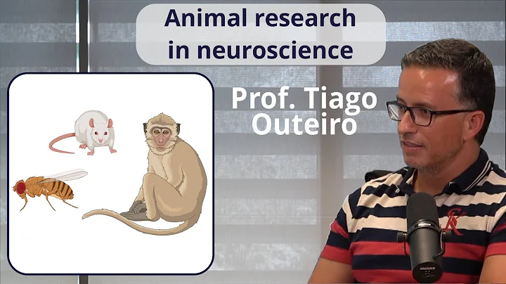 Animal models in brain research