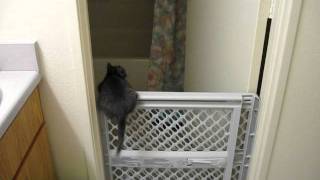 MVI_5917.AVI