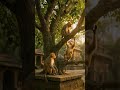 Jai Bajarangbali status of Hanuman ji 🙏♥️#trending #ytshorts #shorts