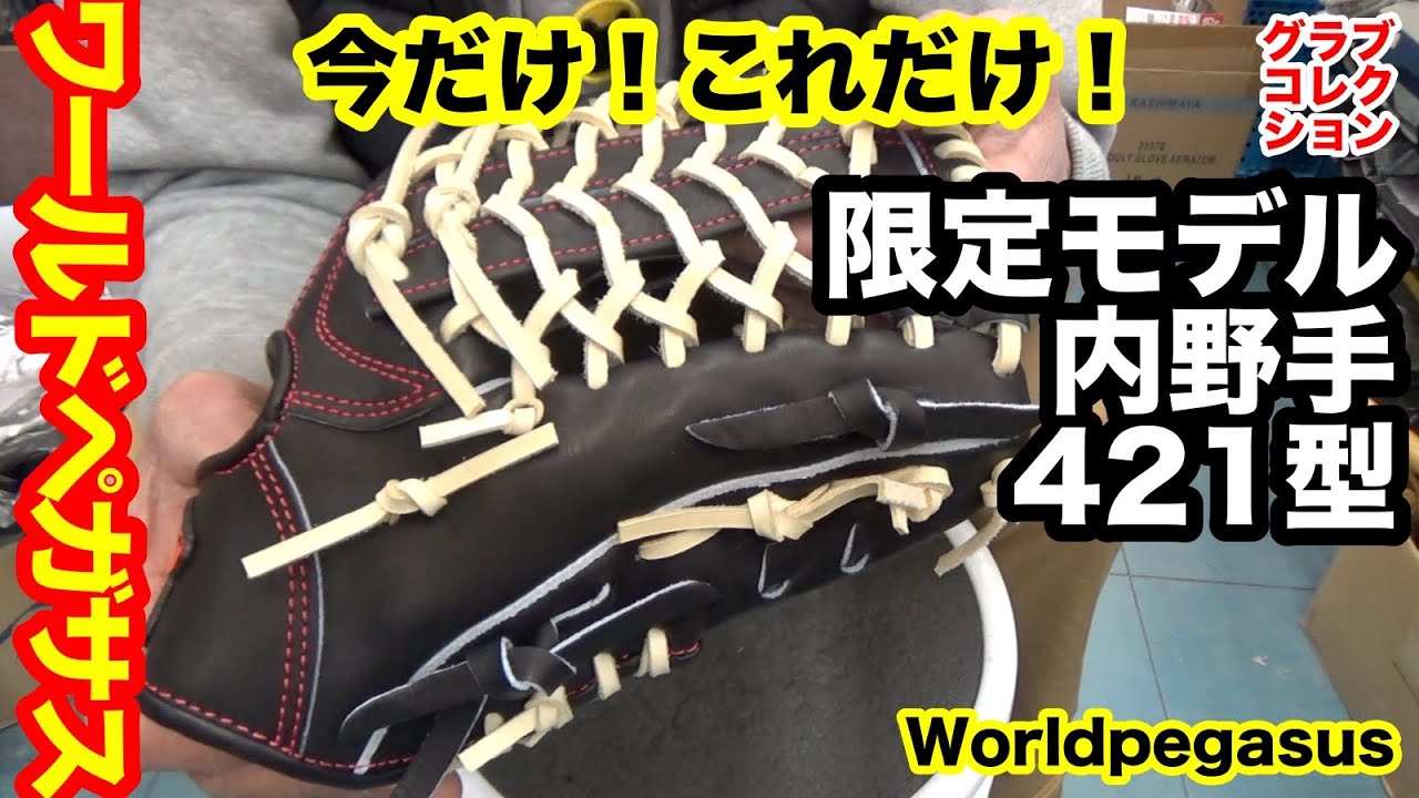 ワールドペガサス”限定モデル”内野手グラブGrandPegasus421型