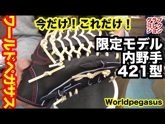 ワールドペガサス”限定モデル”内野手グラブGrandPegasus421型