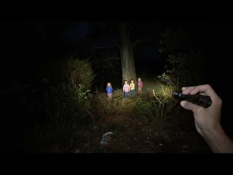 People That Encountered The Unexpected in The Forest