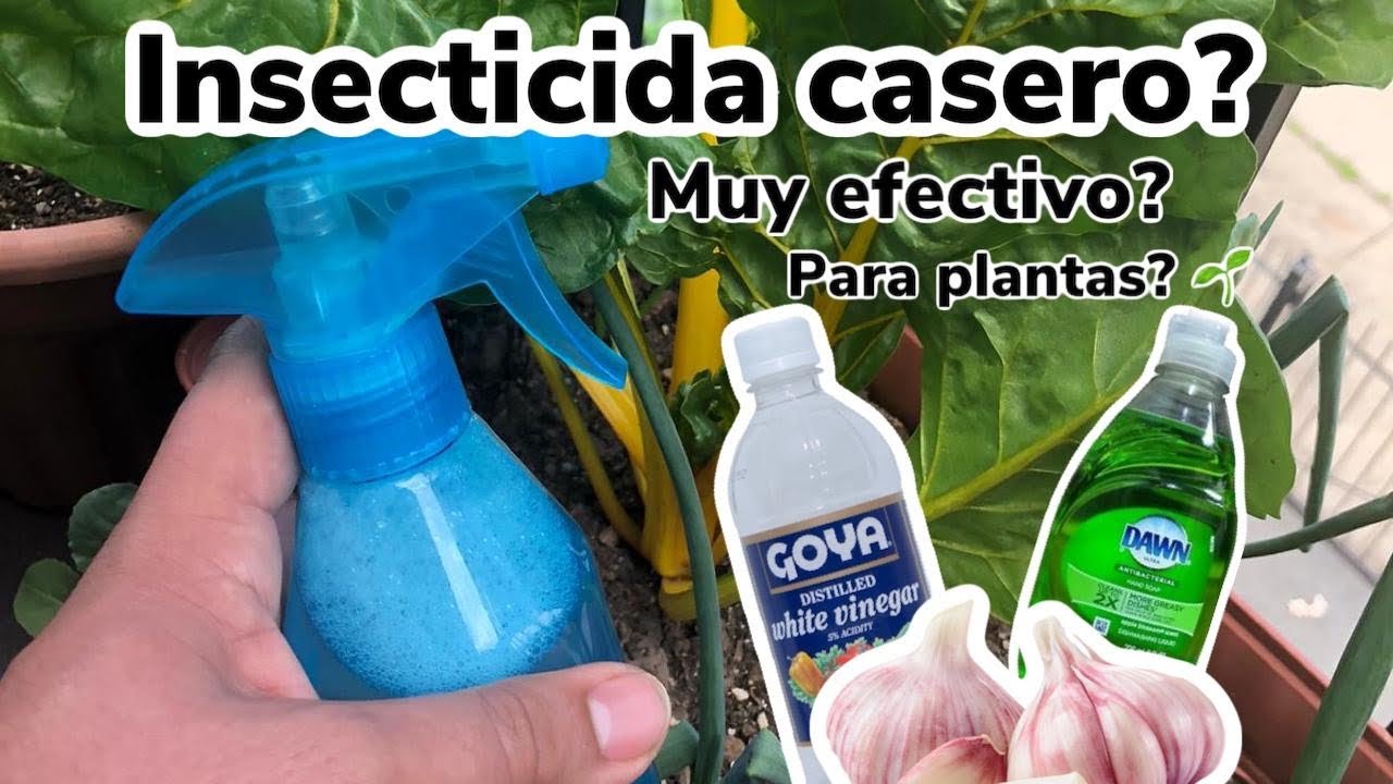 El mejor insecticida para todo tipos