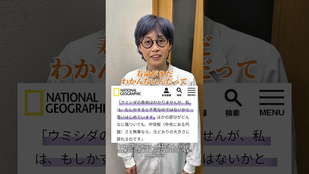 ダイビングしてたら変な生物が写りこんでました #ダイビング