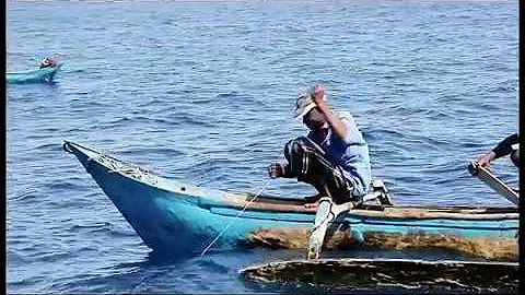 Comoros : the fish, hygiene & the community - DayDayNews