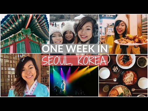 ONE WEEK IN SEOUL | STREET FOOD | TRAVEL VLOG | MYEONGDONG SHOPPING | NORTH KOREA DMZ