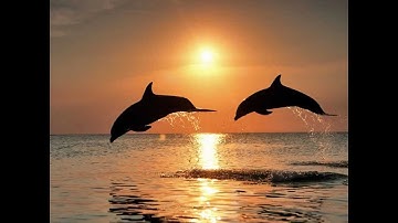 Richard Clayderman ~ Fur Elise