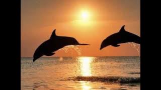 Richard Clayderman ~ Fur Elise