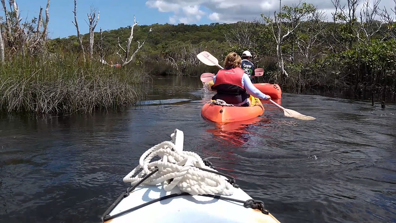 Amazing kayaking on Fraser Island / backpacking AU YouTube