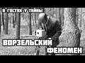 ВОРЗЕЛЬСКИЙ ФЕНОМЕН (В гостях у тайны, вып. 19)