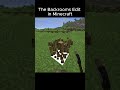 The Backrooms Edit in Minecraft 🤪 #memes #minecraft #funny