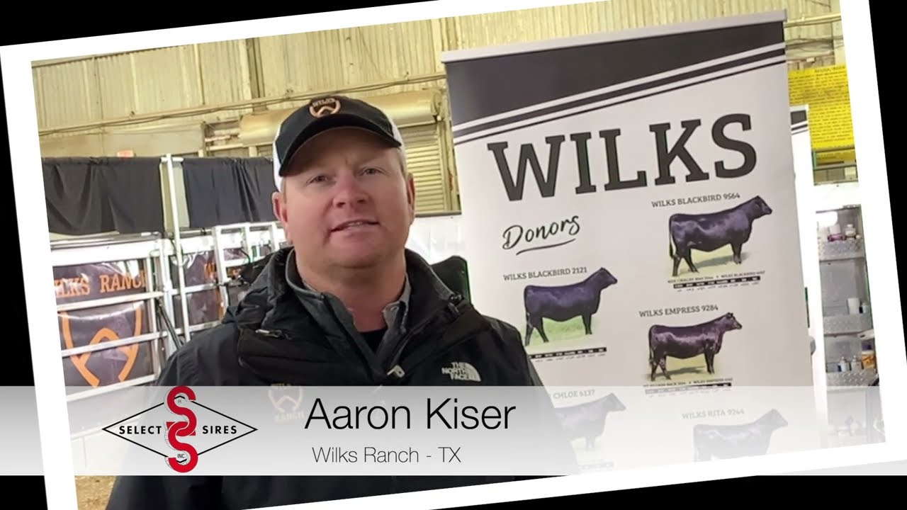 7AN594 WILKS REGIMENT